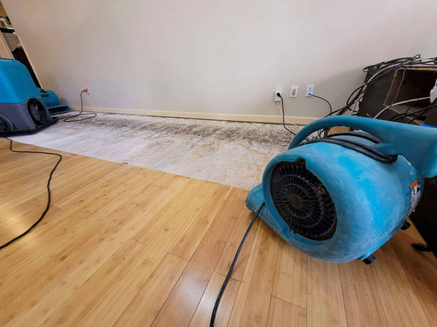 Professional Basement Flood Cleanup technician working in Croydon, UT